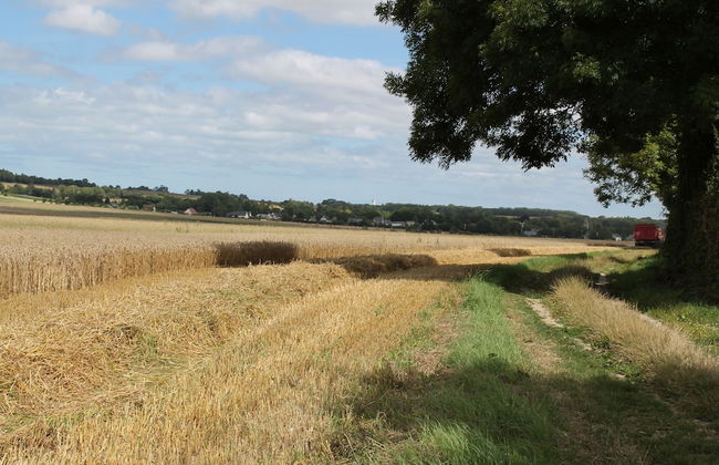 Gîte- La Ferme des Chataigniers - Foto 10