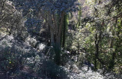 La Apañaora - Foto 54