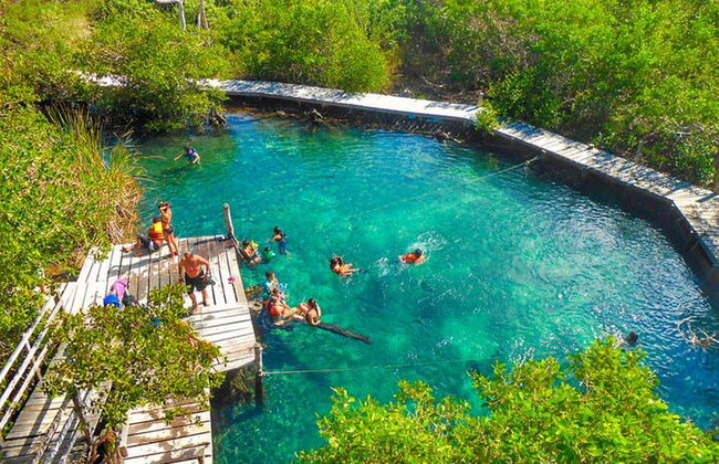Ganztägige Tour nach Holbox und Passion Island mit Cenote, Transport und Mittagessen - Foto 21