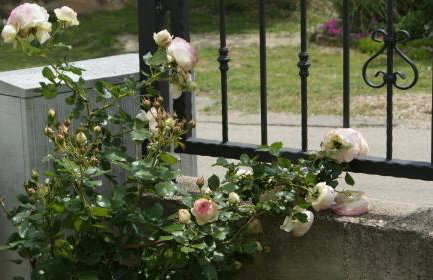 Apartment Anamaria - Foto 43