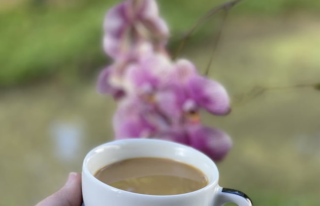 HACIENDA ILUMINADA ECO RETREAT - Foto 12