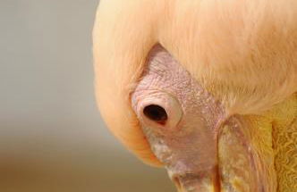 Casa Anna Suites - Foto 64