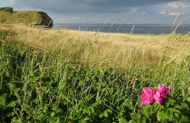 4 Person Holiday Home in Thisted-by Traum - Foto 23