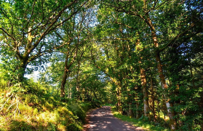 Slowley Farm - Foto 70