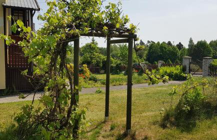 Apartamenty Łąkowa Piecki - Foto 5