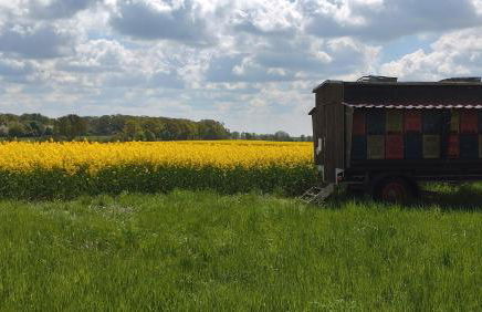 großzügige Ferienwohnung mit weitem Ausblick - Photo 13