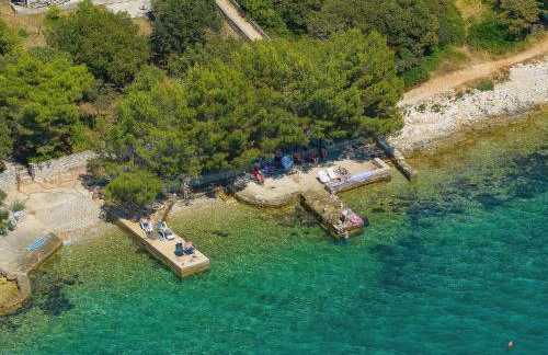 Vidalis, no 1 - Foto 36