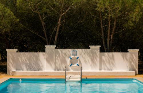 Monte do Papa Leguas - Foto 27