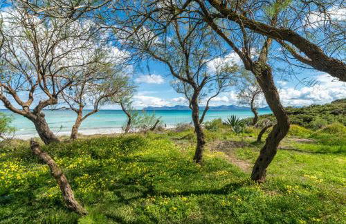 Villa Can Canta Natura Park House at Platja de Muro Beach - Foto 34