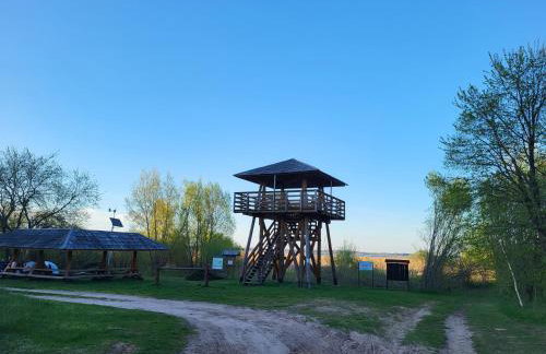 W Krainie Żubra - Foto 16