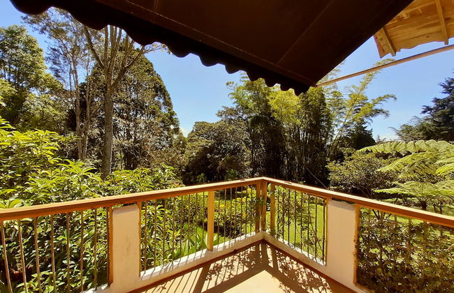 Casa Jade - Photo 10