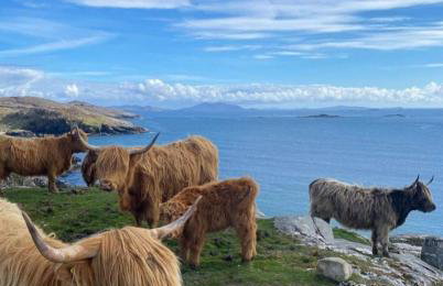 Sunnyhill Cottage - Foto 11