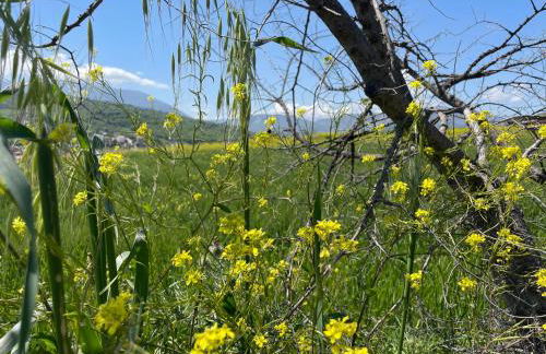 GArt House Holiday Home - Foto 24