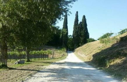 Agriturismo Le Caldane - Photo 13