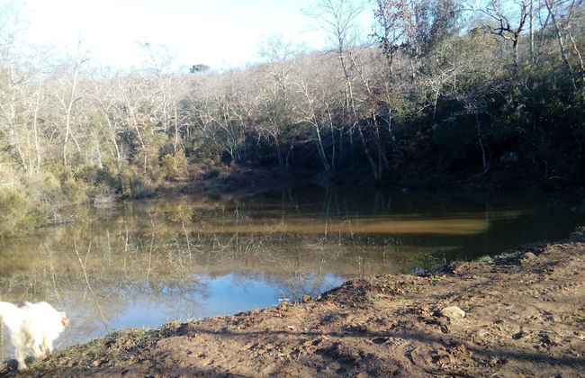 Podere Campovecchio - Foto 46