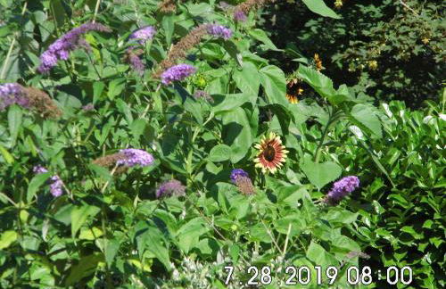 Ferienwohnung Seerose - Foto 31