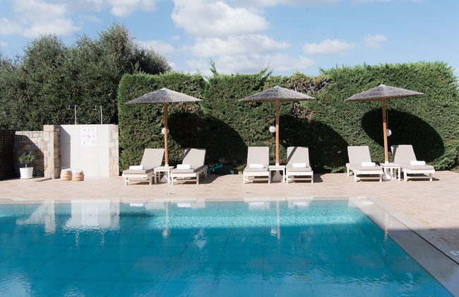 Mirage Studios - Photo 71