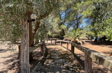 Agriturismo Salento Pietralata - Foto 8