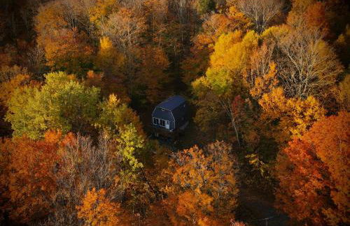 Mandy's Mountain Chalet - Foto 1