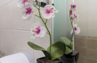 Apartments Lenija - Foto 25