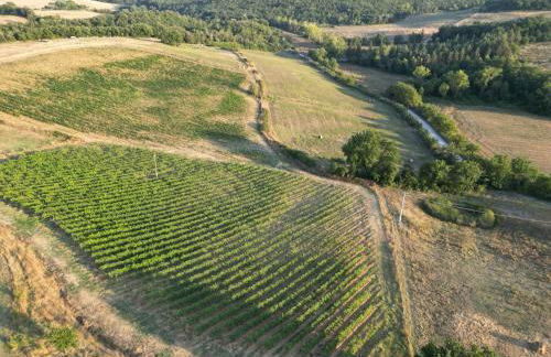 Pociano 1863 - Country House with Stunning view of Siena - Foto 8