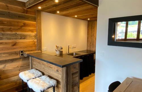 Club Alpina - Champagny-en-Vanoise - Foto 40