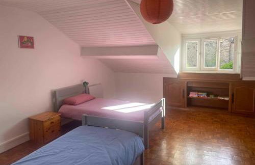 La glycine - Foto 25