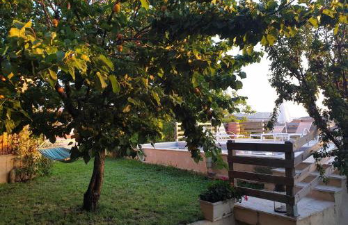 Kosta's House - Photo 41