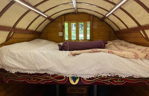 2 Guests - Pet Friendly - Traditional Gypsy Vardo - Foto 9