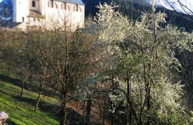 Reddish Deer House ::: Cadore Dolomiti - Foto 15