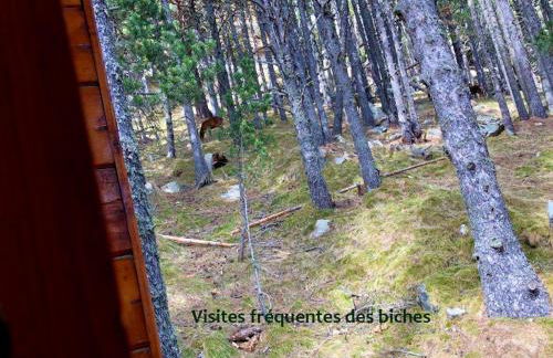 Chalet Vue sous cet Angles - Foto 23