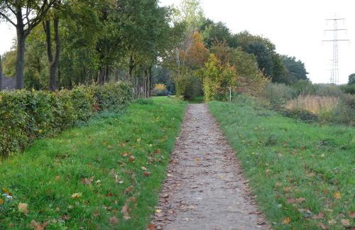 Ferienhaus Nr 6 am Quendorfer See - Foto 29