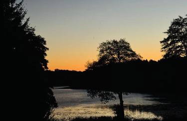 Ostoja Dębowa Studnica - Foto 36