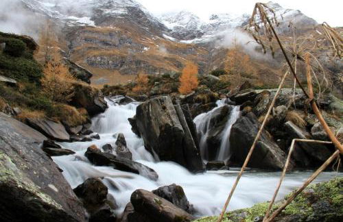 Apparthotel Marteshof - Foto 50