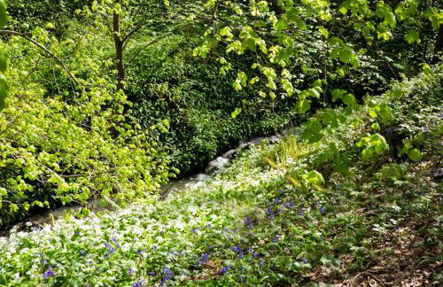 Little Hollows Glamping - Foto 52