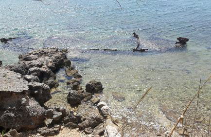 Apartments Simurina - Foto 23