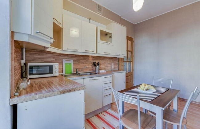 Ludwig Apartment at Pervaya Sovetskaya 8 - Foto 9