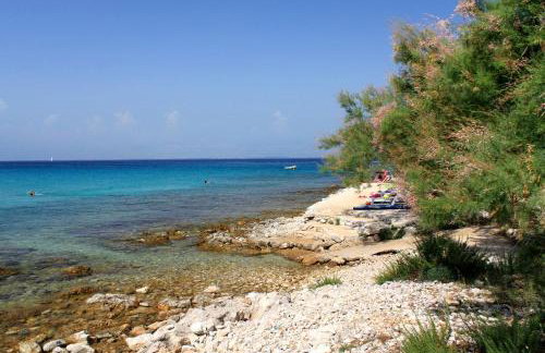 Studio Susica 8265a - Foto 20