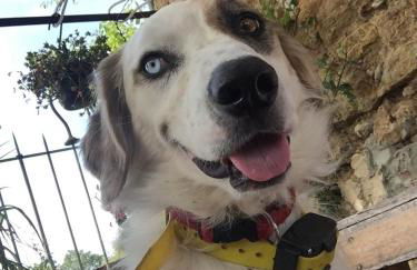 Gîte à la campagne - Foto 22