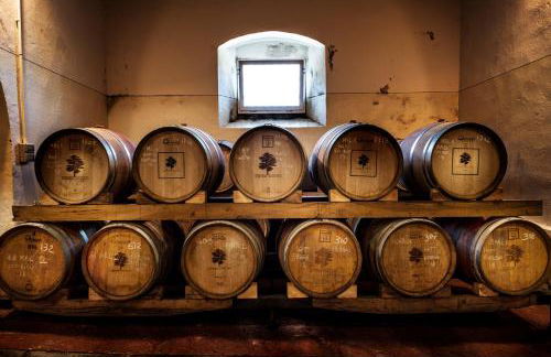 Florence Winery AgriResort - Fattoria Lavacchio - Foto 33