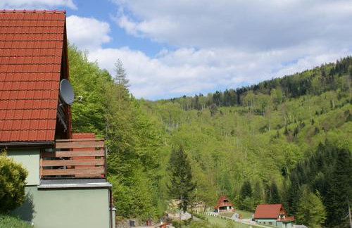 Domki Beskid - Foto 44