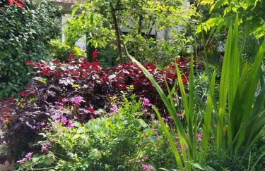 Golden Oasis - Foto 26