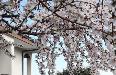 Villa Cristina - Foto 11