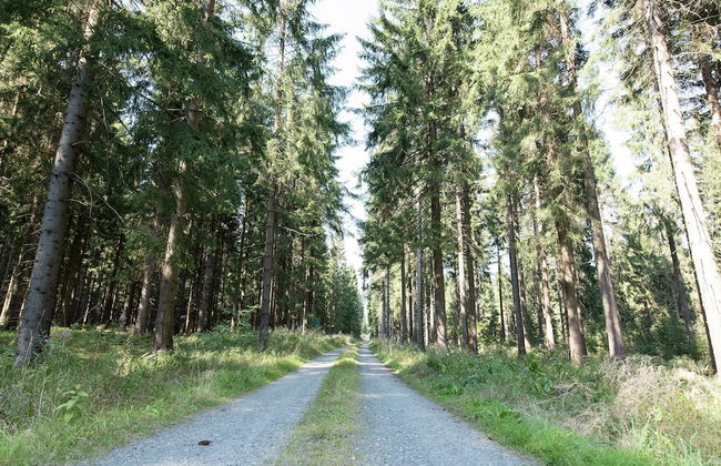 Apartment in Saxony With Balcony - Foto 40