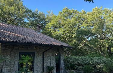 Villa Donati - Photo 23