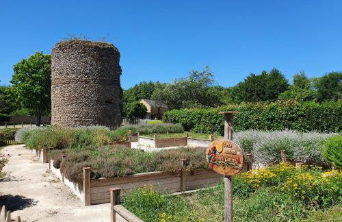 Illiers Combray - La Madeleine - Foto 13