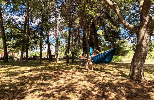 Holiday Home Jaga - Foto 25