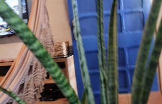 Apto Beira Mar - Morada das Ondas - Foto 22