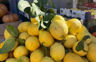 Arancello Apartment - Foto 8