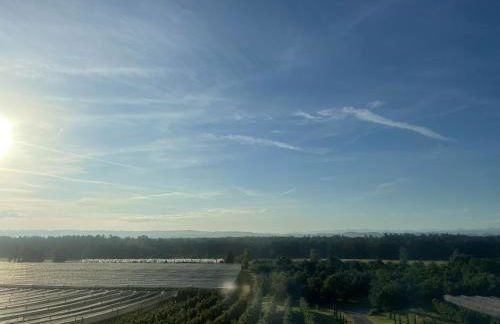 Bergchalet Mirabell - Hofgut - Foto 39